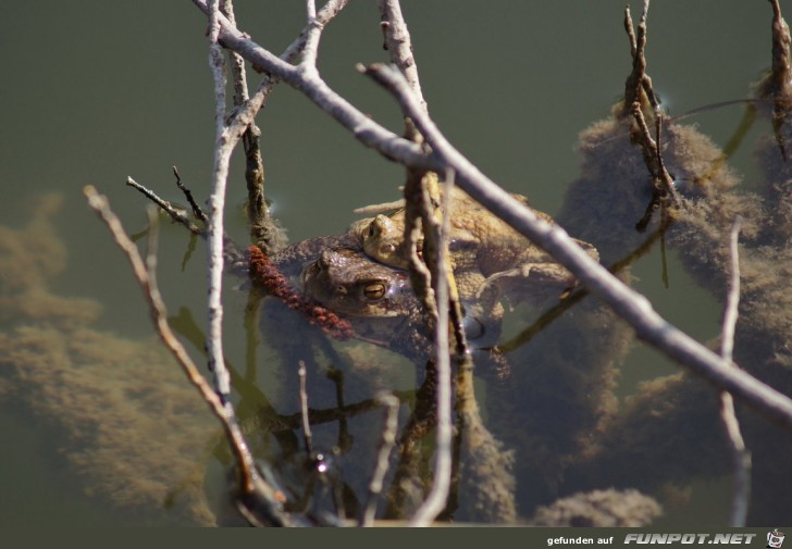 beeindruckende und kuriose Bilder aus verschiedenen Blogs