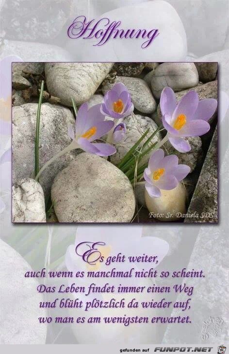 Hoffnung Hoffnung