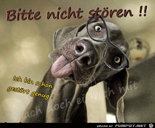 Bitte nicht stoeren Bitte nicht stoeren