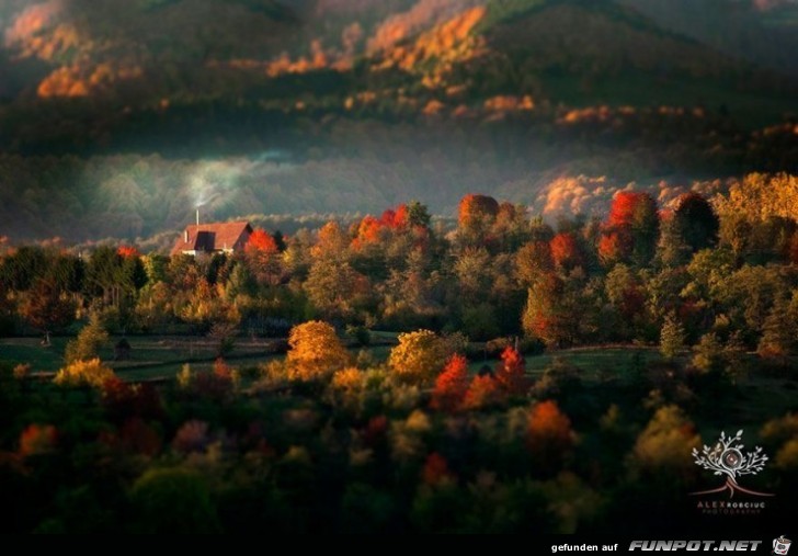 Tolle Orte, die du im Herbst besuchen kannst!