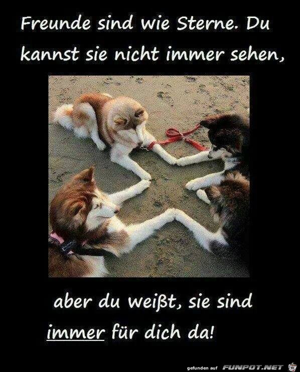 Freunde sind wie Sterne Freunde sind wie Sterne