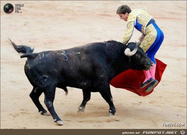 Bulls Brutal Revenge Funzug org 15 Bulls Brutal Revenge Funzug org 15