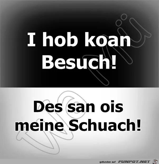 Schuach