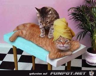 Eine gute Massage Eine gute Massage