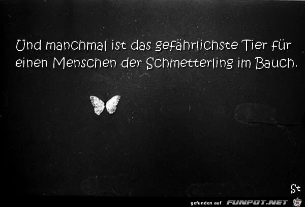 Und manchmal ist das gefährlichste Tier... Und manchmal ist das gefährlichste Tier...