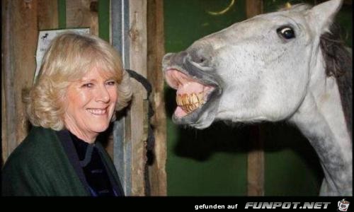 DrJux20Picdump2026-11 DrJux20Picdump2026-11