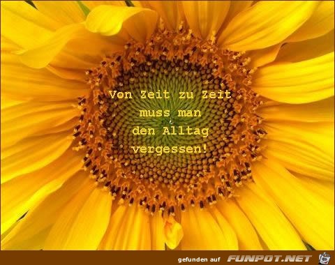 Von Zeit zu Zeit Von Zeit zu Zeit