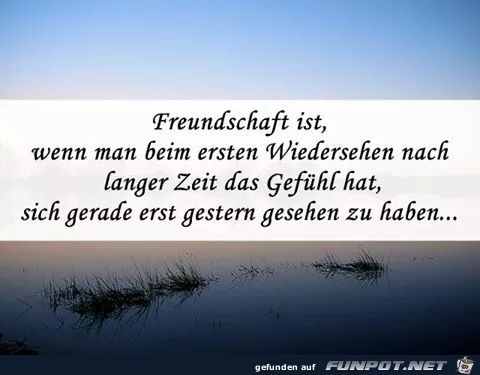 Freundschaft 8