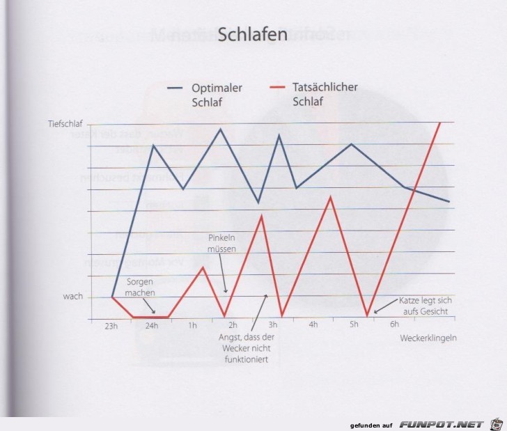 Statistikauswertungen, die man so noch nicht gesehen hat...