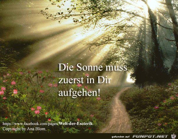 Die Sonne