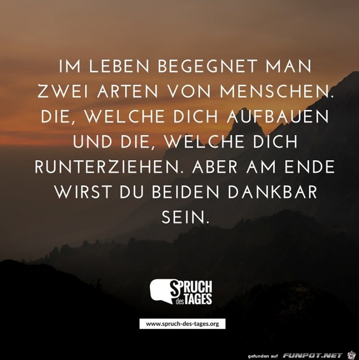 zwei Arten zwei Arten