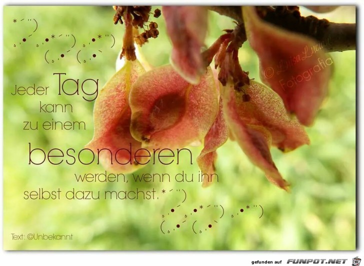 Jeder Tag Jeder Tag