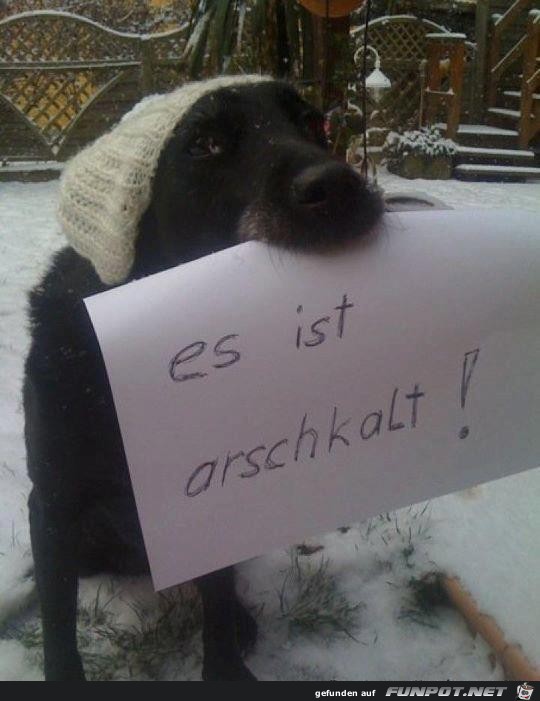 arschkalt arschkalt