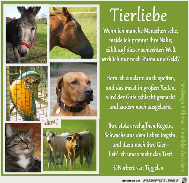 Tierliebe