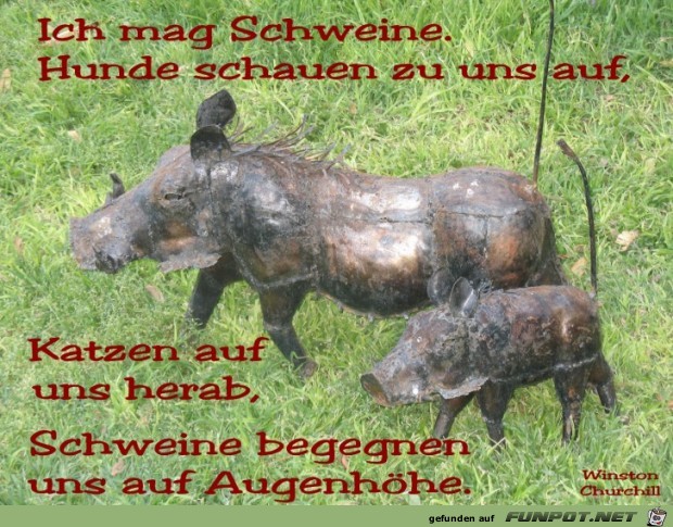 IMG 2374-13 IMG 2374-13