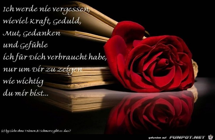 ich werde nie vergessen ich werde nie vergessen