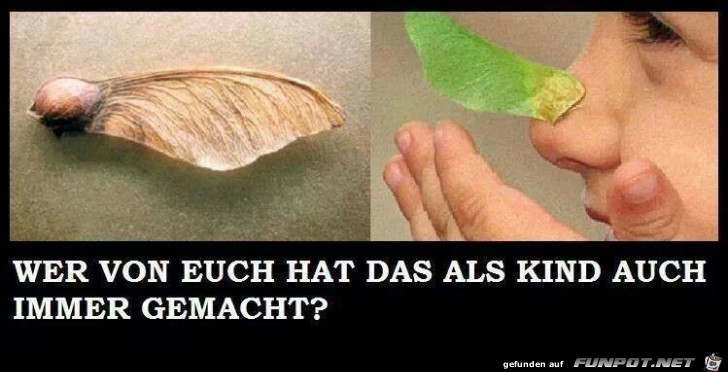 wer von euch