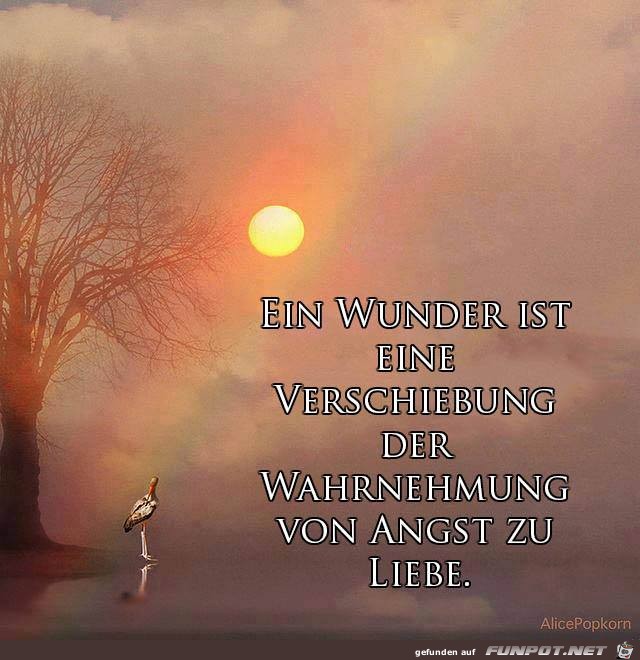 Ein Wunder ist