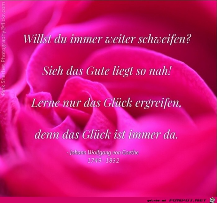Willst du immer weiter schweifen sieh das gute liegt so na Willst du immer weiter schweifen sieh das gute liegt so na
