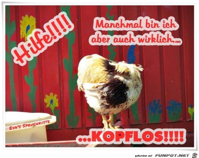 kopflos kopflos
