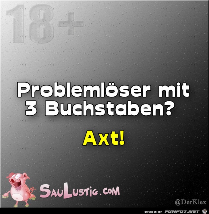 Problemloeser Problemloeser
