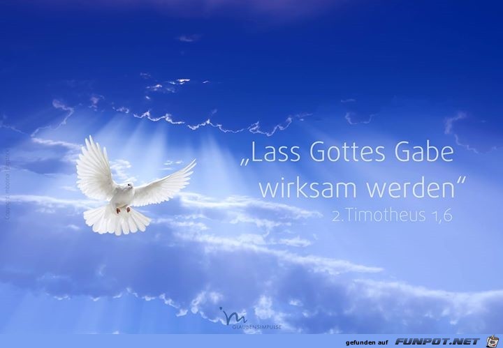 2. tim 1 6 2. tim 1 6