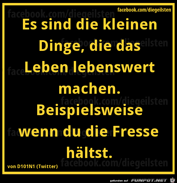 diegeilsten lebenswert diegeilsten lebenswert
