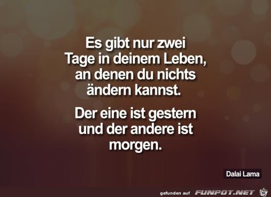 nur zwei Tage nur zwei Tage