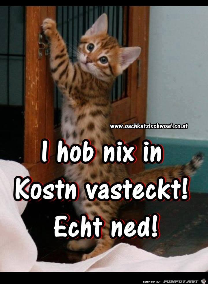 I hob nix I hob nix