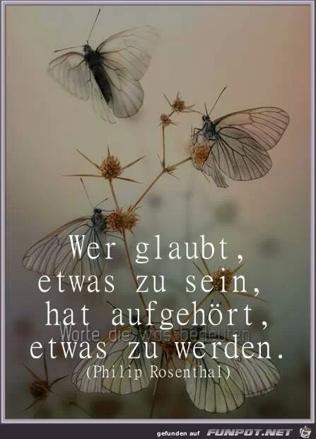 wer glaubt wer glaubt