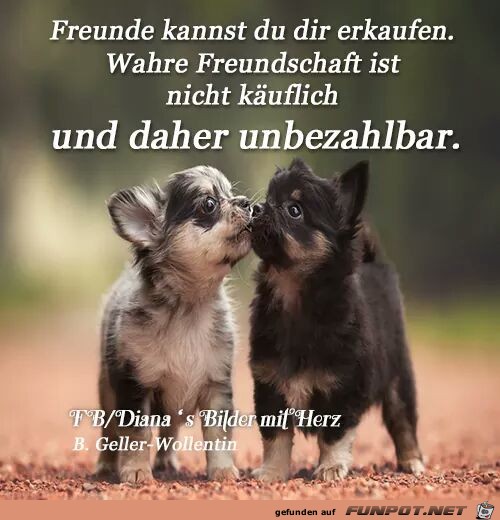 freunde kannst du dir erkaufen freunde kannst du dir erkaufen
