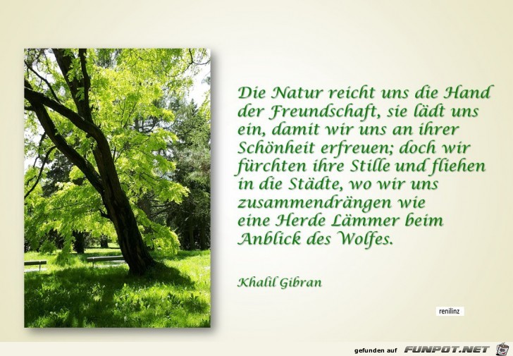 die natur reicht uns die Hand