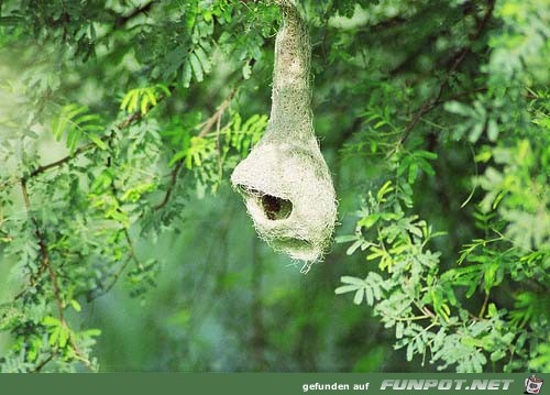 image002232 image002232