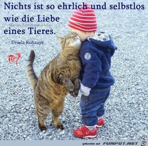 Liebe eines Tieres