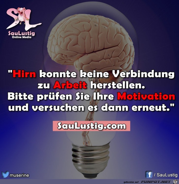 hirn-motivation hirn-motivation