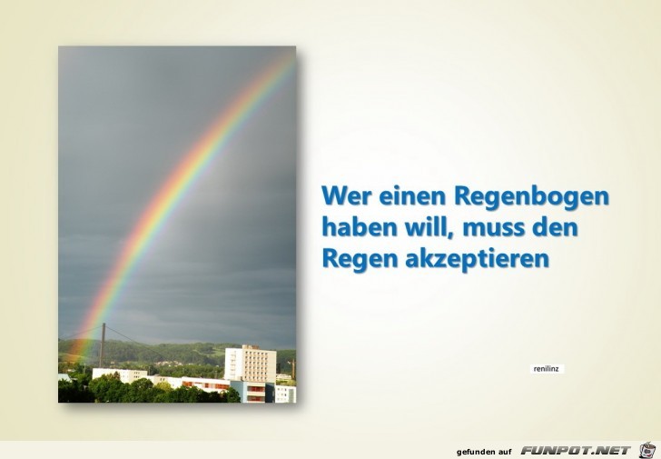 Wer einen Regenbogen haben will Wer einen Regenbogen haben will