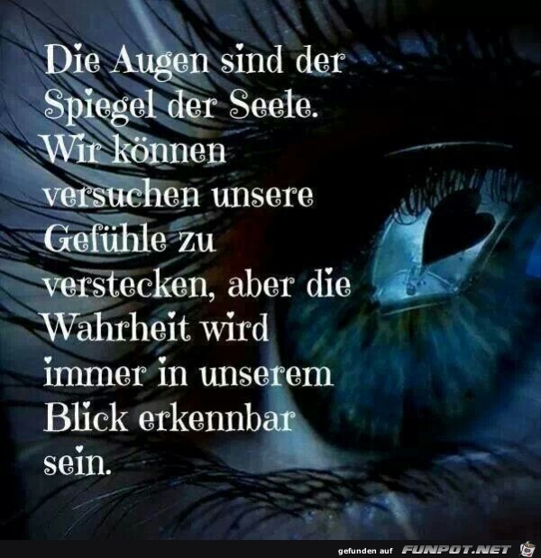 die Augen sind... die Augen sind...
