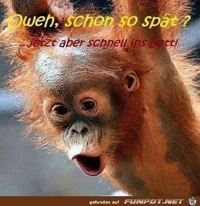 so spaet so spaet