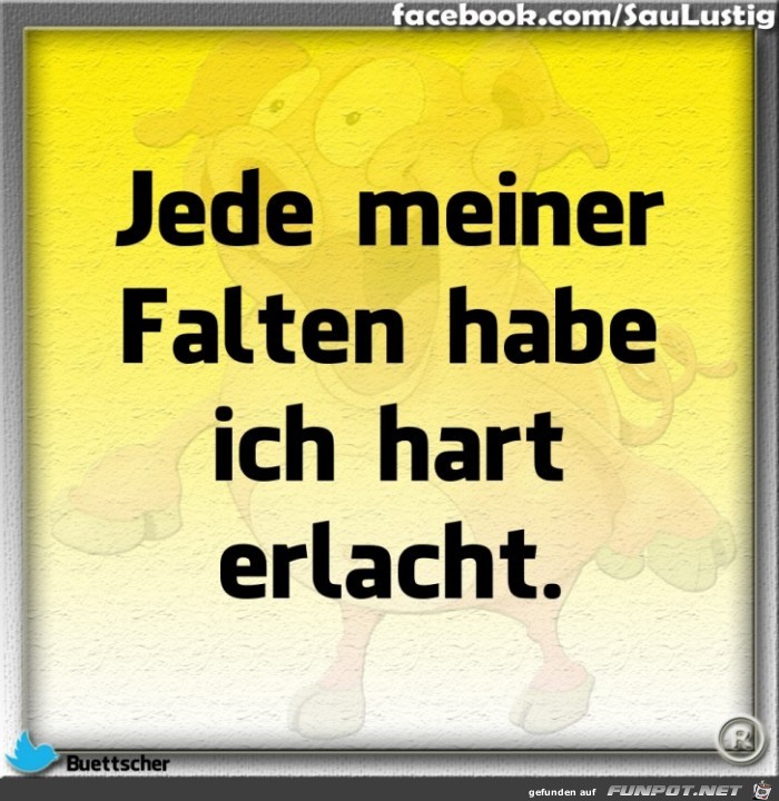 Meine Falten Meine Falten