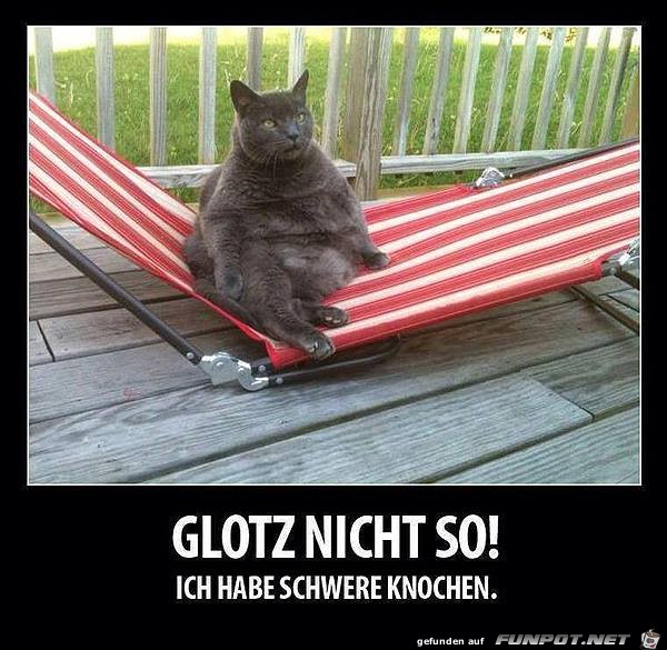 Glotz nicht so