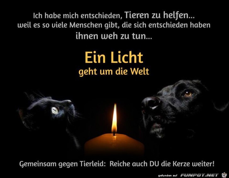 Ein Licht geht um die Welt