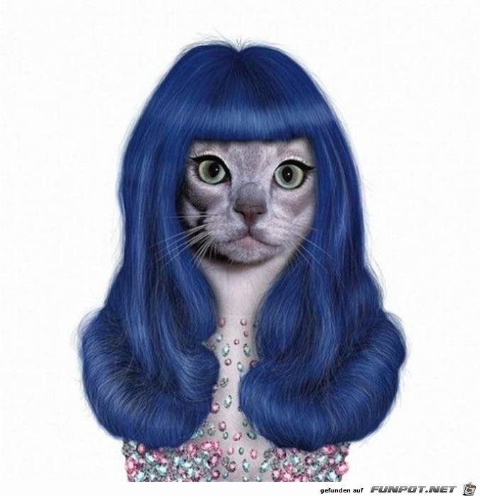 Katy Perry Katy Perry
