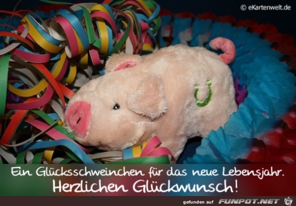 ein Gluecksschwein ein Gluecksschwein
