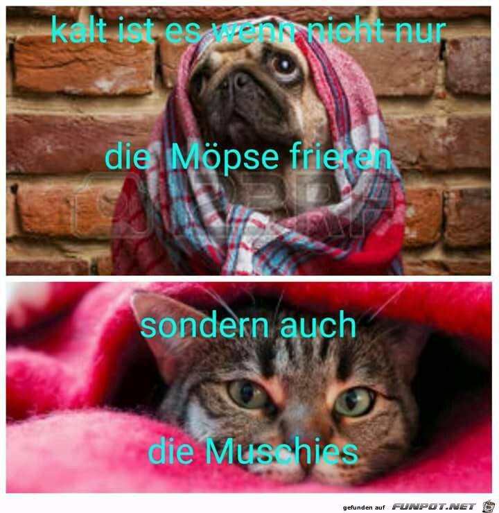 kalt ist es