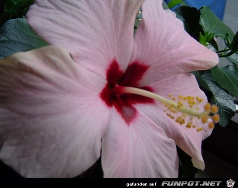 DSC00429 DSC00429