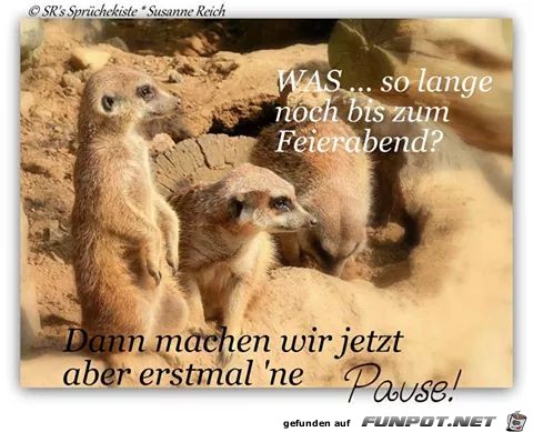 WAS WAS