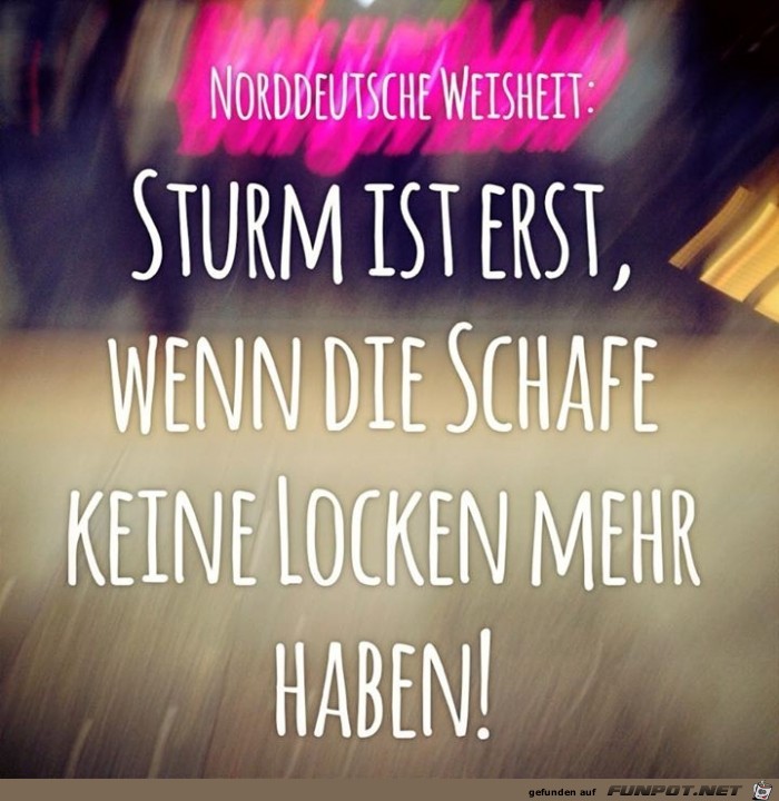 sturm sturm