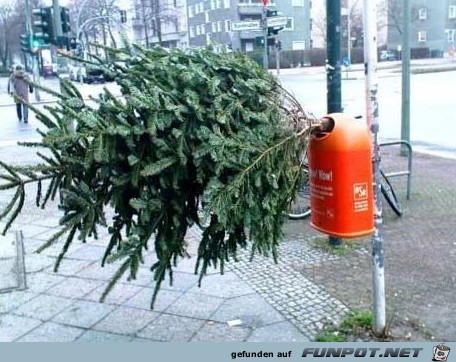 tannenbaum-entsorgung