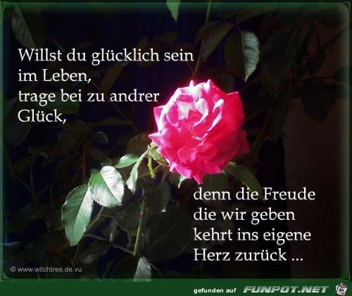 willstdu willstdu