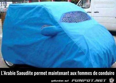 Auto-Burka